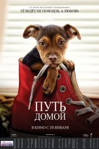 Постер к Путь домой (2019)