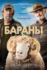 Постер к фильму "Бараны"